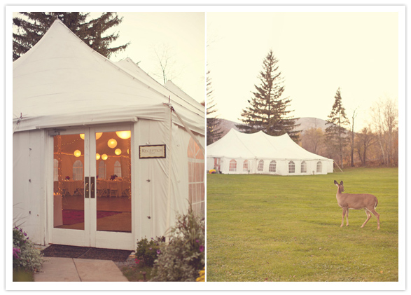 Autumn afternoon wedding