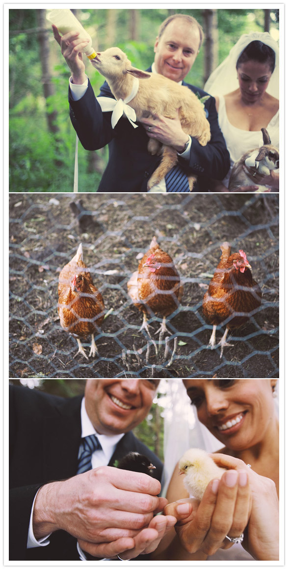 romantic-farm-wedding-10
