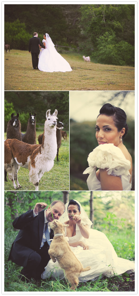 romantic-farm-wedding-7 romantic farm wedding