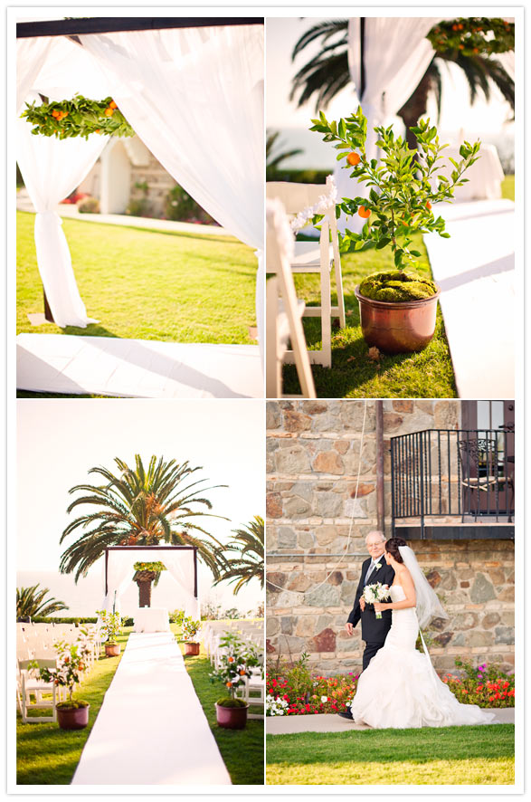modern citrus california wedding