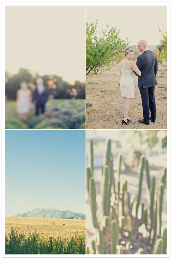 highland springs wedding