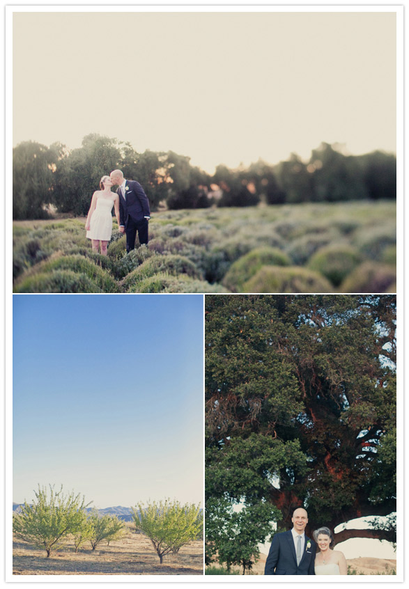 highland springs wedding