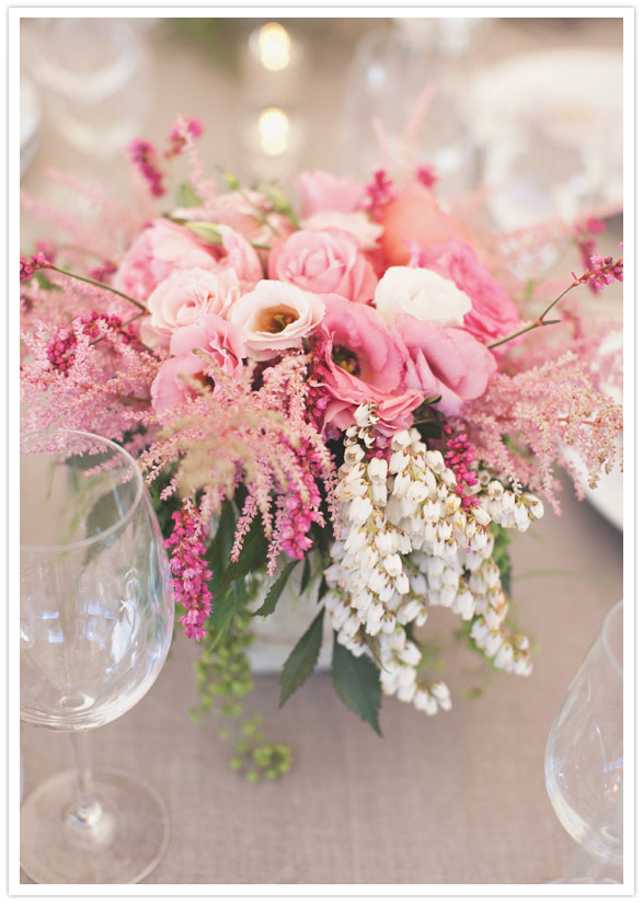 pink roses pink roses