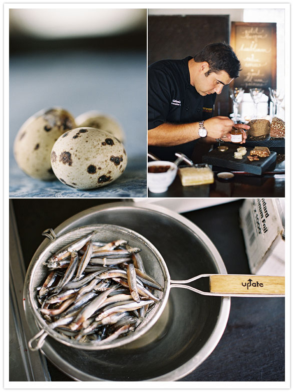 Contempo Catering Contempo Catering