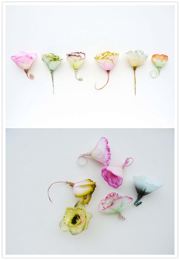 paper flowers