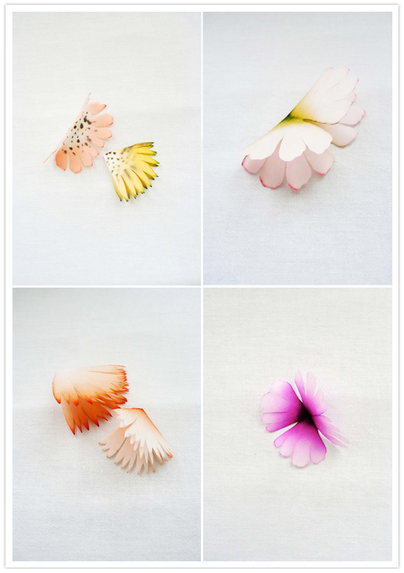 paper flowers