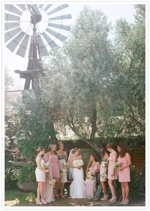San Diego Vineyard wedding San Diego Vineyard wedding