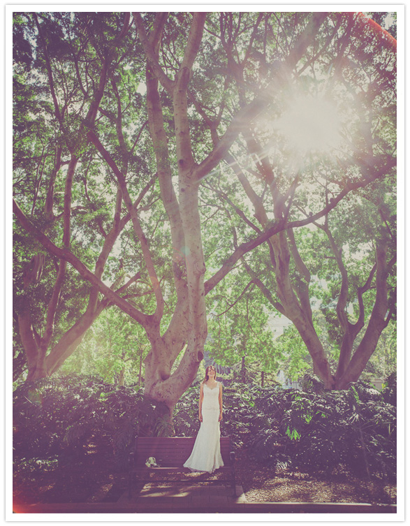 Sydney wedding Sydney wedding