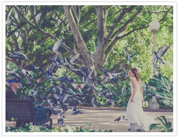 Sydney wedding Sydney wedding
