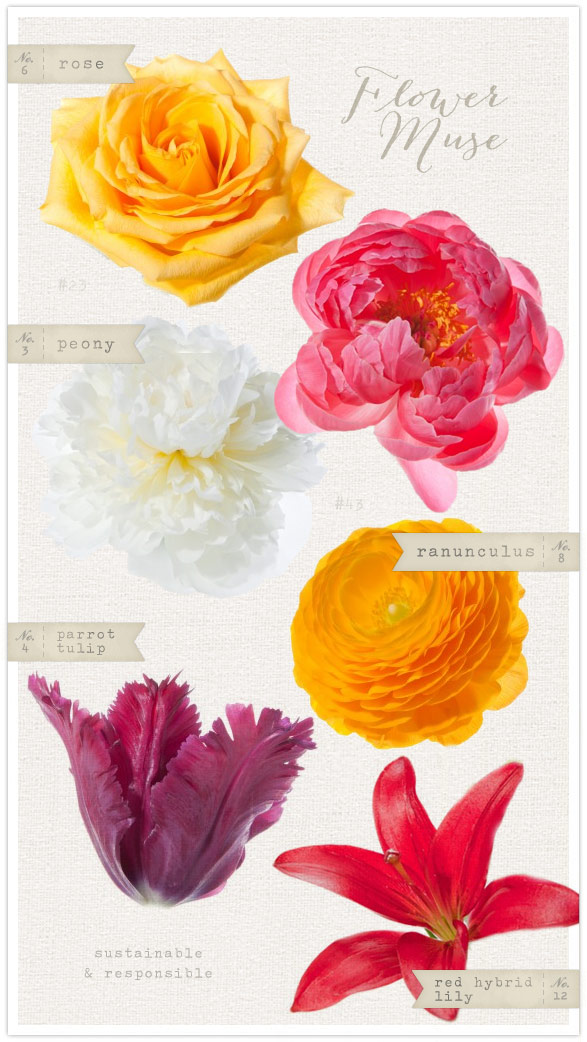 Flower Muse