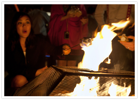 roasting smores roasting smores