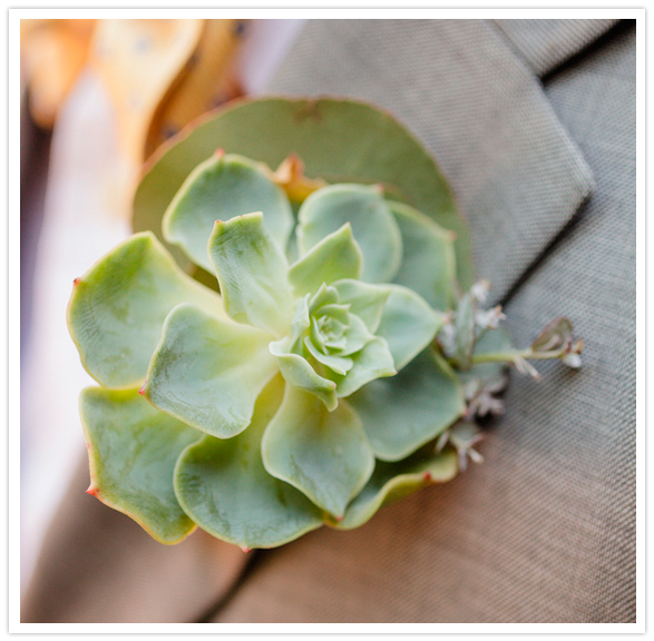succulent boutonniere succulent boutonniere