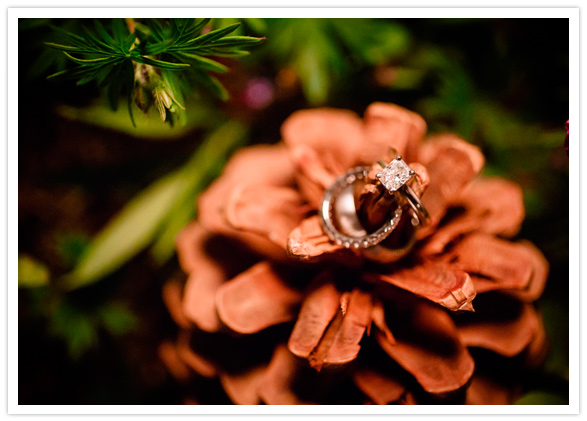 pine cone wedding ring portrait pine cone wedding ring portrait