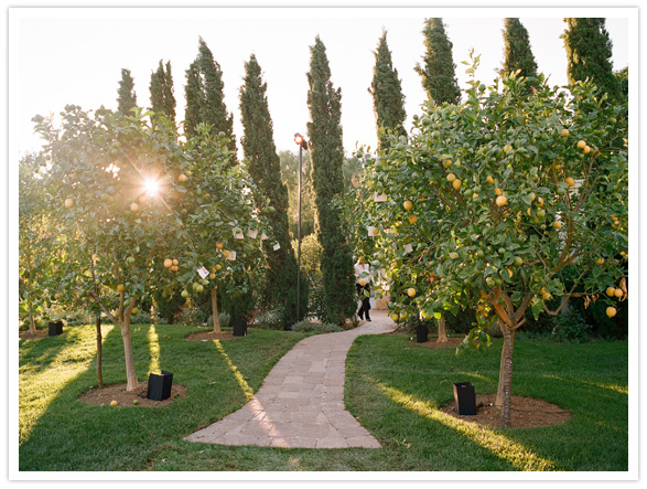 San Yisdro Ranch wedding