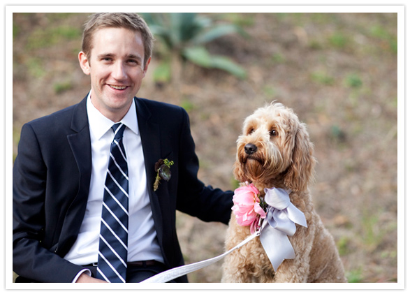 dogs in weddings