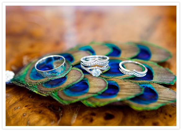 peacock feather boutonniere and wedding rings peacock feather boutonniere and wedding rings