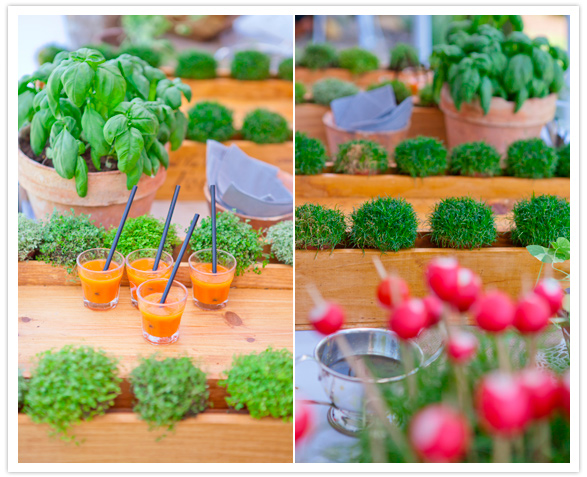 vegetable drinks vegetable drinks