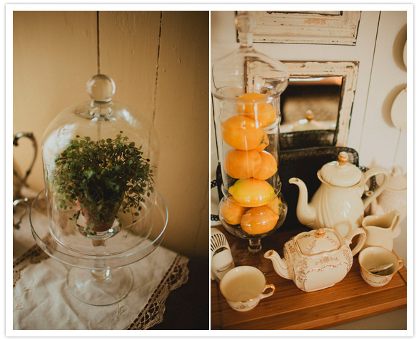 herb terrarium and porcelain tea set herb terrarium and porcelain tea set