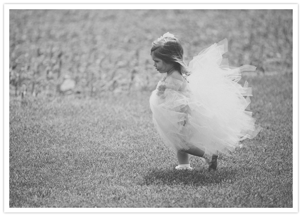 tutu flower girl tutu flower girl