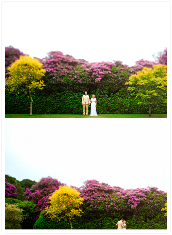 vibrant irish garden portraits vibrant irish garden portraits