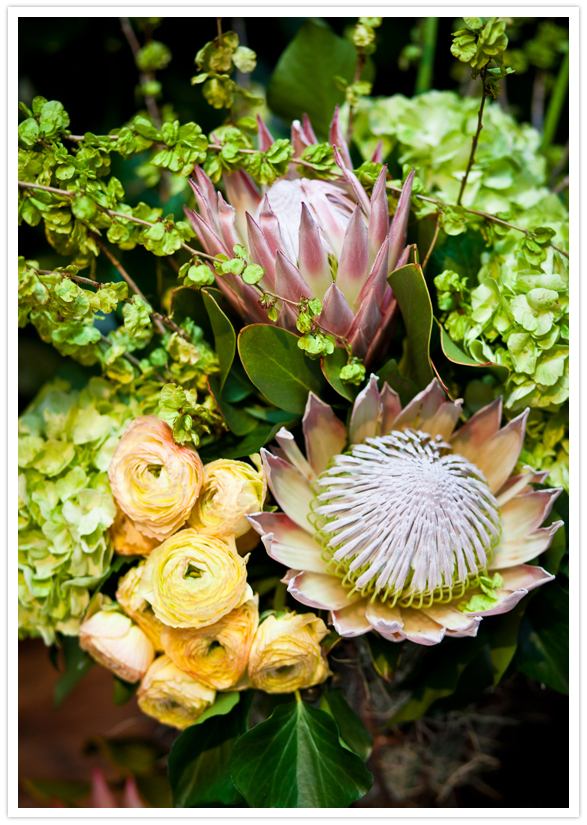 exotic floral arrangements exotic floral arrangements