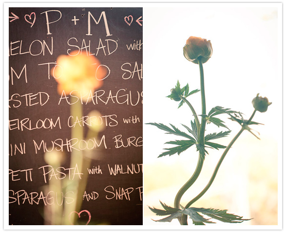potted plant centerpieces potted plant centerpieces
