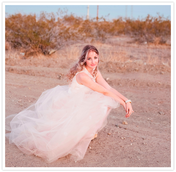 Chantelle of Jac and Moigrad chiffon gown Chantelle of Jac and Moigrad chiffon gown