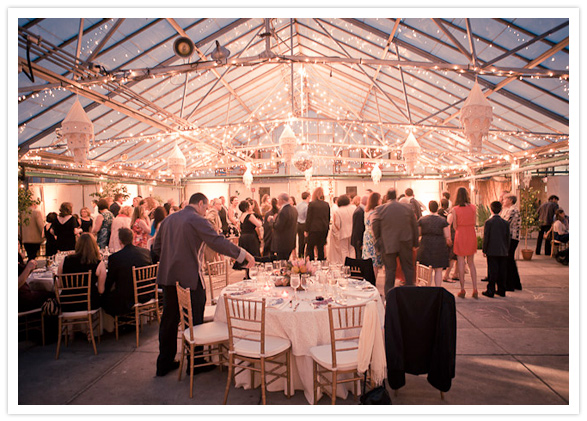 twinkle light chandeliers and garlands twinkle light chandeliers and garlands