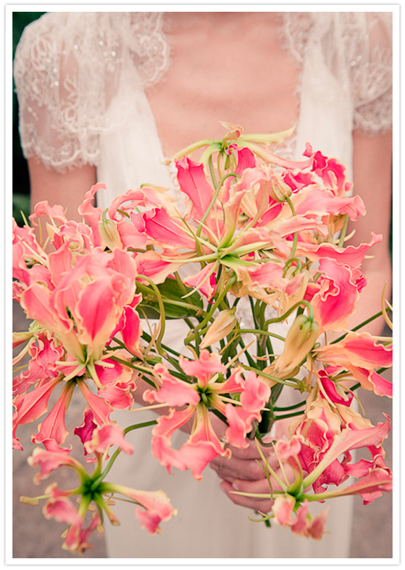 coral gloriosa lilies bouquet coral gloriosa lilies bouquet