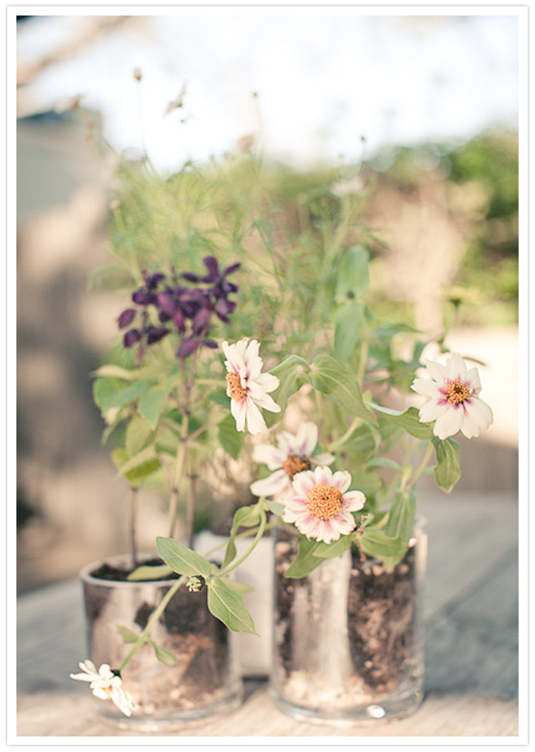 potted plant centerpieces potted plant centerpieces