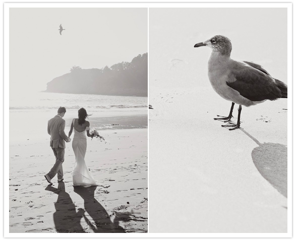 Muir Beach, CA wedding portraits Muir Beach, CA wedding portraits