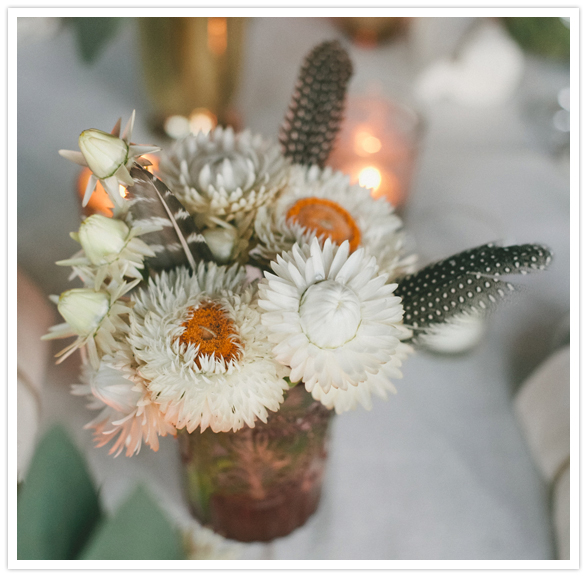 white wild flowers and feathers white wild flowers and feathers