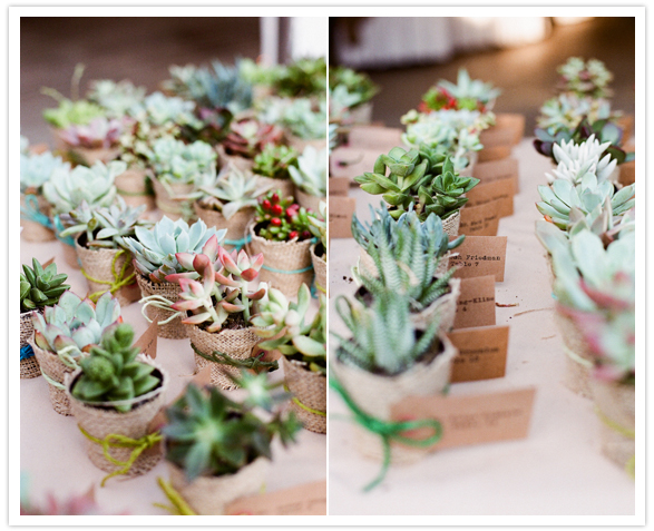 mini succulent escort cards