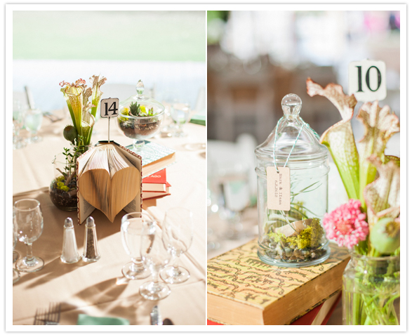 cut-out books and terrarium centerpieces 