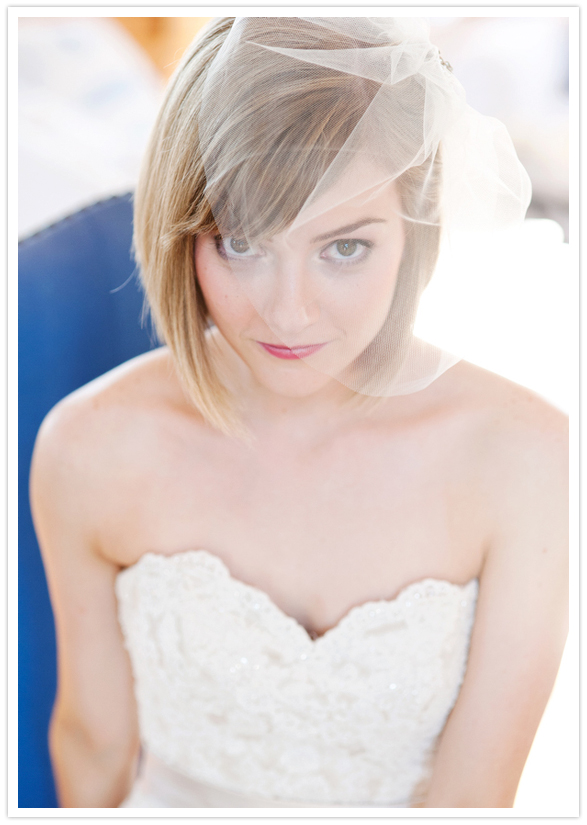vintage bird cage veil 
