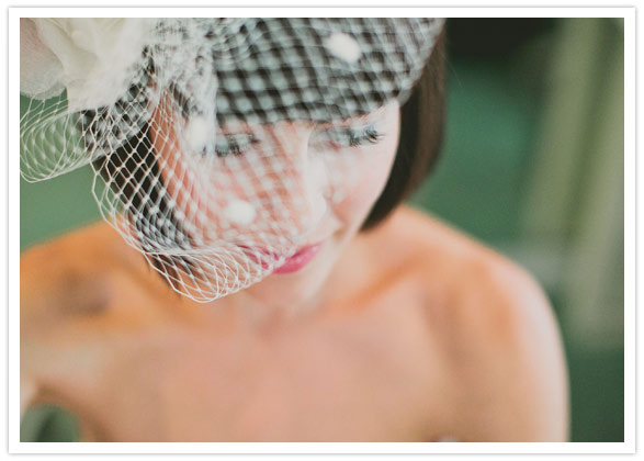 birdcage veil