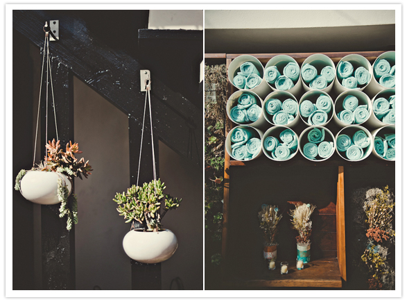 hanging potted plants hanging potted plants