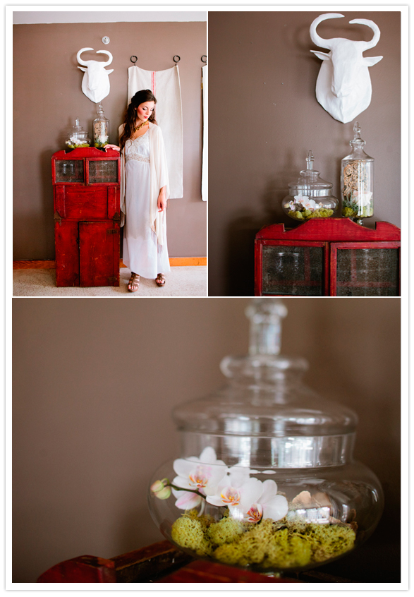 apothecary jar terrariums apothecary jar terrariums
