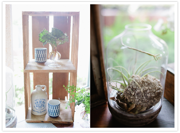 blue patterned ceramics and bee hive terrarium blue patterned ceramics and bee hive terrarium