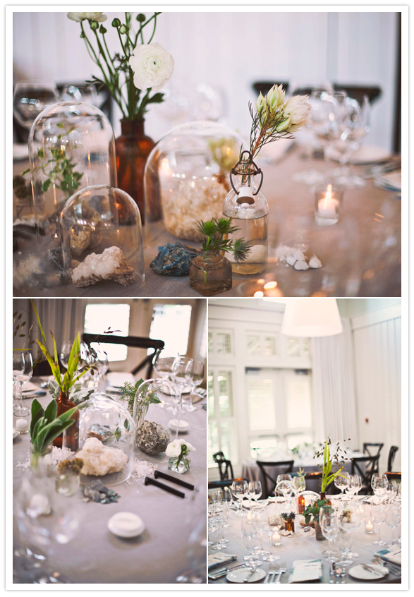 tin potted plants, terrariums and crystal and stone centerpieces tin potted plants, terrariums and crystal and stone centerpieces