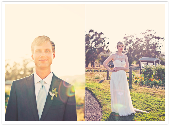 napa valley vineyard portraits napa valley vineyard portraits