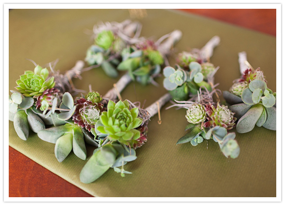 succulent boutonnieres succulent boutonnieres