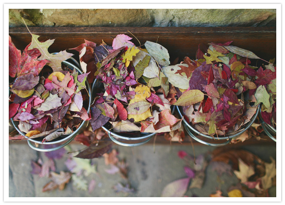 fall foliage confetti fall foliage confetti
