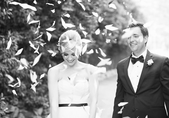 flower petal confetti flower petal confetti