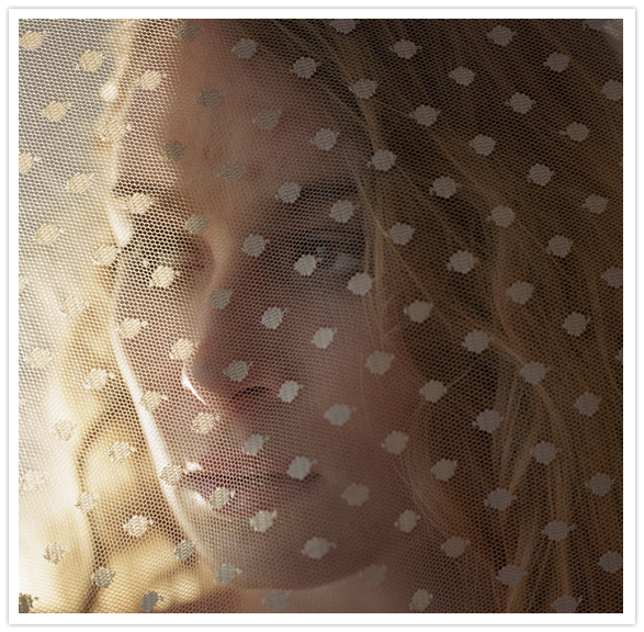 dotted sheer veil dotted sheer veil