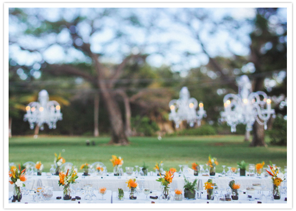 modern maui wedding 