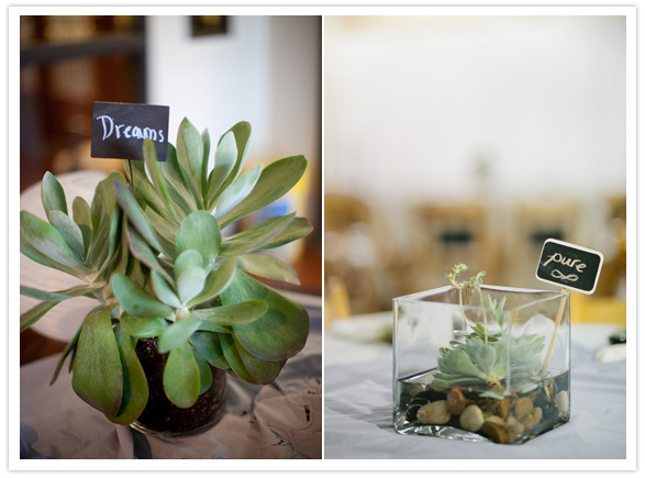 succulent and rock terrarium centerpieces succulent and rock terrarium centerpieces