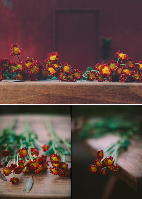 red asters | Photo by Paige Lowe
