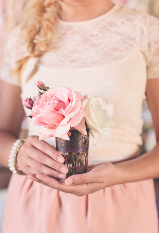 large bloom pink and white roses large bloom pink and white roses