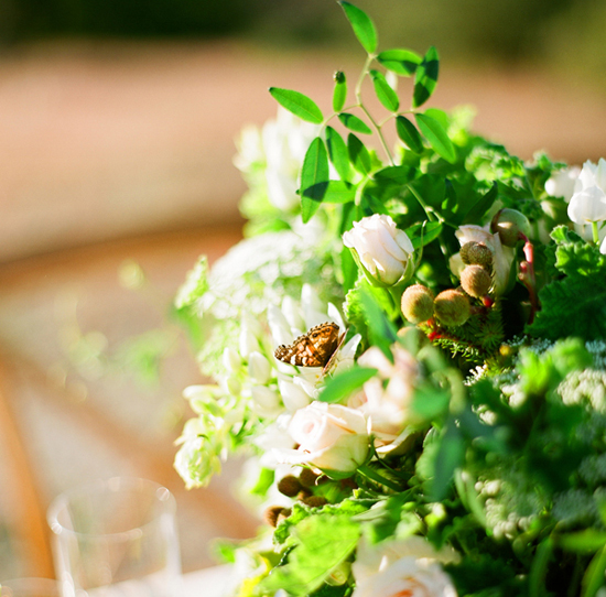 vibrant green plant centerpieces